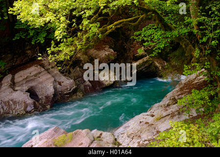 Mountain River Dranse, Frankreich, Haute-Savoie, Morzine Stockfoto