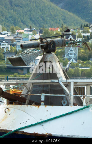 Walfang Schiff in Tromsø, Norwegen, Troms, Tromsoe Stockfoto