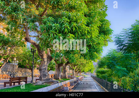Blick auf den Park mit exotischen Bäumen mediterraner Balkon in Tarragona, Spanien Stockfoto