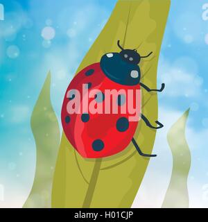 Niedliche Marienkäfer auf grünes Blatt, Vektor Stock Vektor
