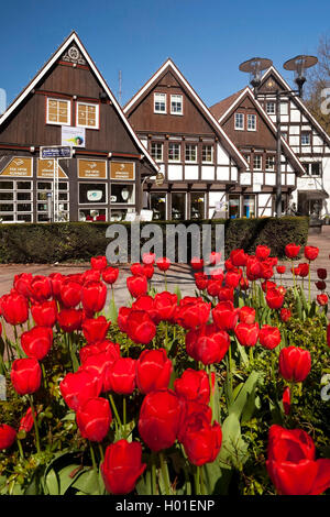 Fachwerkhäuser bei Karl Volke Square im Frühjahr, Deutschland, Nordrhein-Westfalen, Bad Sassendorf Stockfoto