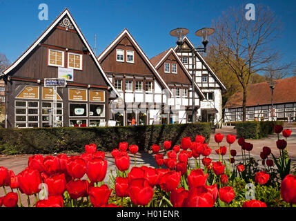 Fachwerkhäuser bei Karl Volke Square im Frühjahr, Deutschland, Nordrhein-Westfalen, Bad Sassendorf Stockfoto