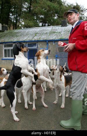 Barry Todhunter, Jäger von Blencathra Jagdhunden in ihren Zwingern in Threlkeld im Lake District, England. Stockfoto