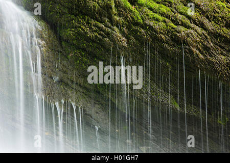 Thur Wasserfälle des Flusses Saentisthur, Schweiz, St. Gallen, Wildhaus-Alt St. Johann Stockfoto