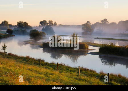 Morgennebel am Naturschutzgebiet Steinhorster Becken, Deutschland, Nordrhein-Westfalen Stockfoto
