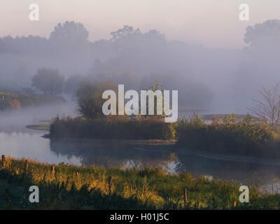 Morgennebel am Naturschutzgebiet Steinhorster Becken, Deutschland, Nordrhein-Westfalen Stockfoto