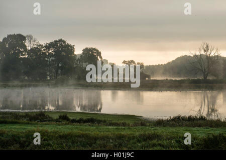 Morgenstimmung mit Nebel bei Sonnenaufgang am Naturschutzgebiet Steinhorster Becken, Deutschland, Nordrhein-Westfalen Stockfoto