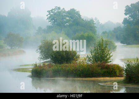 Morgenstimmung mit Nebel am Naturschutzgebiet Steinhorster Becken, Deutschland, Nordrhein-Westfalen Stockfoto