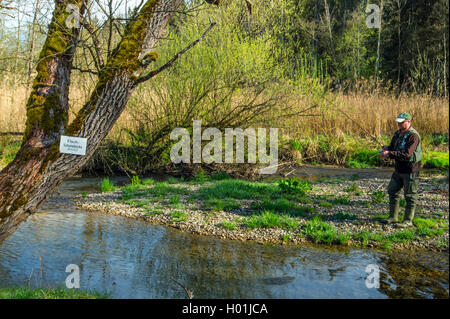 Angler Am Lindenbach im Murnau Moos, Deutschland, Bayern, Oberbayern, Oberbayern Murnauer Moos Stockfoto