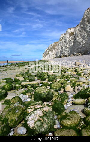 Der Strand bei Ebbe, Cap Blanc Nez, Côte Opale, Pas-de-Calais, Frankreich Stockfoto