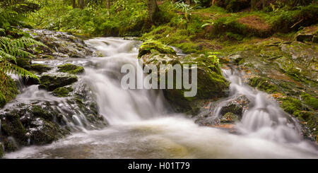 Weisse Regen Wasserfall in der Nähe von Moraine Lake Kleiner Arbersee im Bayerischen Wald, Deutschland Stockfoto