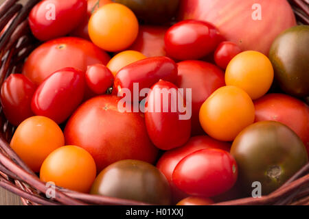 Verschiedene Arten von Tomaten in Korb Stockfoto