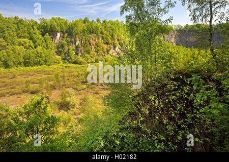 Der Bochumer Bruch Kalksteinbruch, Deutschland, Nordrhein-Westfalen, Bergisches Land, Wülfrath geschlossen Stockfoto