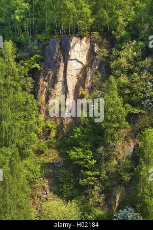 Rock Formation des ehemaligen Bochumer Bruch Kalksteinbruch, Deutschland, Nordrhein-Westfalen, Bergisches Land, Wülfrath Stockfoto