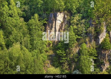 Rock Formation des ehemaligen Bochumer Bruch Kalksteinbruch, Deutschland, Nordrhein-Westfalen, Bergisches Land, Wülfrath Stockfoto