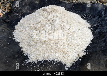 Ausgewählte Meersalz, Fleur de Sel, im Norden von Bali, Indonesien, Bali Stockfoto