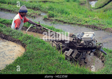 Reisbauer in die Reisfelder von Jatiluwih, Indonesien, Bali Stockfoto