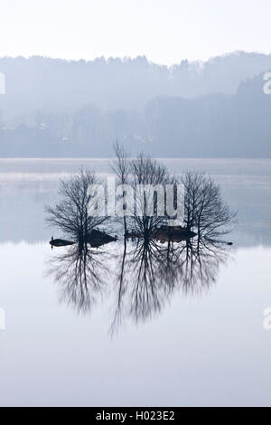 Wuppertalsperre, Deutschland, Nordrhein-Westfalen, Bergisches Land, Remscheid Stockfoto