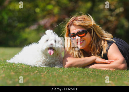 Maltesisch (Canis lupus f. familiaris), blonde Frau mit sieben Jahre alten maltesischen, Deutschland Stockfoto