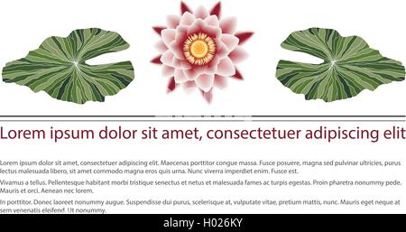 Pink Lotus mit Kontur grünen Blättern, Überschrift zu dokumentieren Stock Vektor