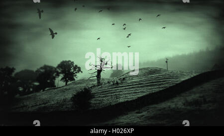 magische dunkle stimmungsvolle Landschaft mit einsamen alten Baum Stockfoto