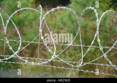 Stacheldraht-Sicherheitszaun Stockfoto