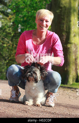 Shih Tzu (Canis lupus f. familiaris), mit Mistress, Deutschland Stockfoto