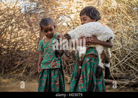 GODWAR REGION, Indien - 13. Februar 2015: zwei kleine Rabari Mädchen im Stall mit kleinen Lamm. Rabari oder Rewari sind eine indische Kommunikations- Stockfoto