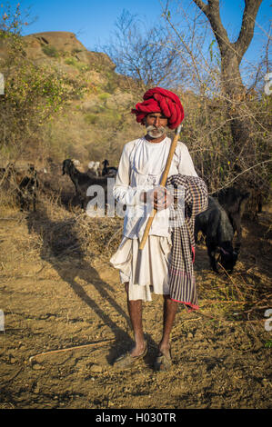 GODWAR REGION, Indien - 13. Februar 2015: Rabari Stammesangehörige hält traditionelle Axt auf Feld und steht in der Nähe der Herde. Rabari oder Rew Stockfoto