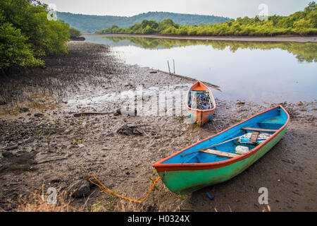 Zwei Kanus am Ufer in Goa, Indien Stockfoto