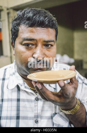 MUMBAI, Indien - 5. Februar 2015: Porträt der indischen Mann trinkt Milchtee im traditionellen Stil. Nachbearbeitet mit Korn, textur Stockfoto