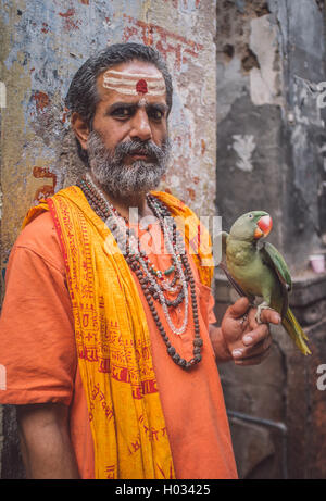 VARANASI, Indien - 25. Februar 2015: indische Mann vorgibt, ein Sadhu hält Papagei, der Flügel zeigt. Nachbearbeitet mit Korn Stockfoto