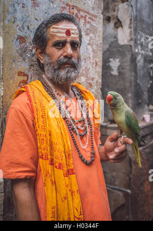 VARANASI, Indien - 25. Februar 2015: indische Mann vorgibt, ein Sadhu hält Papagei in der Straße. Nachbearbeitet mit Korn, textu Stockfoto