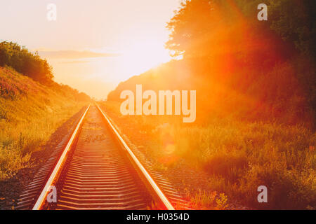 Die malerische Landschaft mit Eisenbahn geradeaus durch hügelige Sommerwiese, Sonnenauf- oder Sonnenuntergang im Sonnenlicht. Lense Flare Stockfoto
