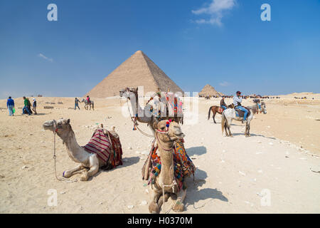 Kairo, Ägypten - 3. Februar 2016: Kamele zu vermieten vor den Pyramiden von Gizeh. Stockfoto