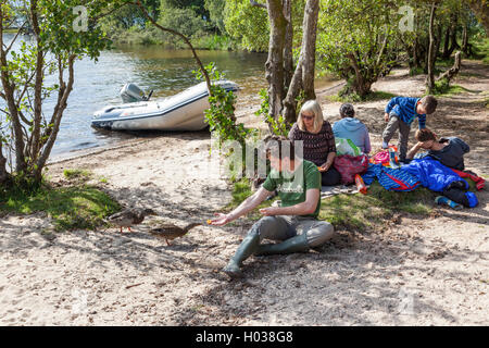 Ein Picknick auf der Insel Inchcailloch in Loch Lomond, Argyll & Bute, Scotland UK Bootfahren Familienfest Stockfoto