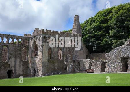 St. Davids Bischofspalast, St Davids, Pembrokeshire, Wales, Großbritannien Stockfoto