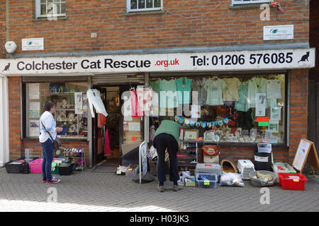 Außen Colchester Katze Charity-Shop, Essex, England, UK Stockfoto