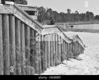 Holztreppe zu einem Sandstrand in Florida mit Laub. Stockfoto