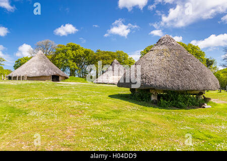 Castell Henllys ein Eisenzeitdorf, Pembrokeshire Coast National Park, Pembrokeshire, Wales, Vereinigtes Königreich, Europa. Stockfoto