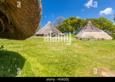 Castell Henllys ein Eisenzeitdorf, Pembrokeshire Coast National Park, Pembrokeshire, Wales, Vereinigtes Königreich, Europa. Stockfoto