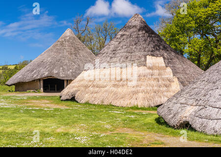 Castell Henllys ein Eisenzeitdorf, Pembrokeshire Coast National Park, Pembrokeshire, Wales, Vereinigtes Königreich, Europa. Stockfoto