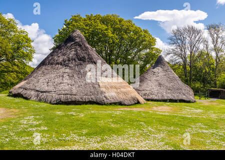 Castell Henllys ein Eisenzeitdorf, Pembrokeshire Coast National Park, Pembrokeshire, Wales, Vereinigtes Königreich, Europa. Stockfoto