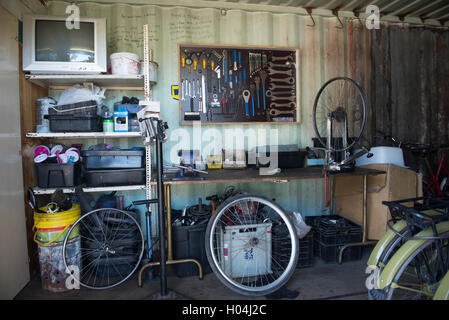 Werkbank der Fahrradmechaniker mit Werkzeugen angeordnet an einer Wand, Cape Town, Südafrika Stockfoto