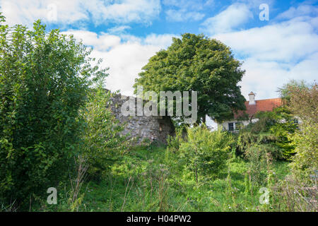 Des Herrn Berg Artillerie Festung, Berwick Upon Tweed Stockfoto