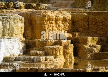 Unteren Terrassen, Mammoth Hot Springs, Yellowstone-Nationalpark Stockfoto