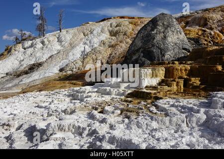 Unteren Terrassen, Mammoth Hot Springs, Yellowstone-Nationalpark Stockfoto