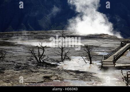 Dampf-Themen aus thermisch aktiven Formationen in den oberen Terrassen in Mammoth Hot Springs, Yellowstone-Nationalpark Stockfoto