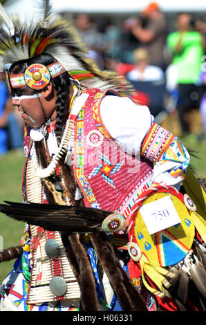 American Indians nehmen an einer Grand Entry Zeremonie während des 60. Jährlichen Pow Wow am Samstag im Busse Woods nahe Elk Grove Village im Jahr 2016 Teil. Stockfoto