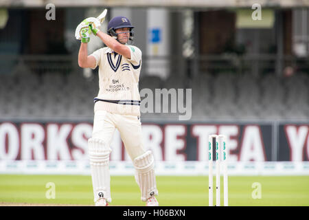 London, UK. 20. Sep, 2016. James Franklin von Middlesex Fledermäuse am ersten Tag der Specsavers County Championship Division One match zwischen Middlesex und Yorkshire auf Lords am 20. September 2016 in London, England. Bildnachweis: Michael Jamison/Alamy Live-Nachrichten Stockfoto